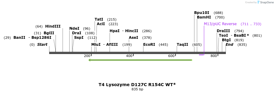 24349_map