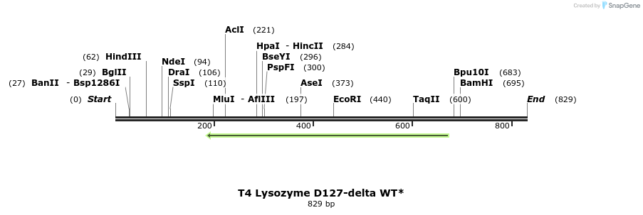 24350_map