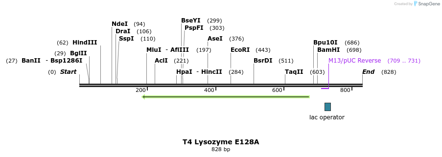 24351_map
