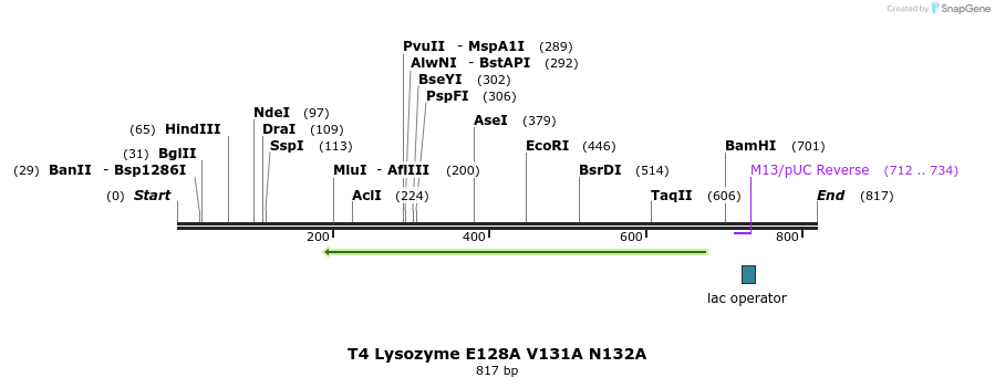 24352_map