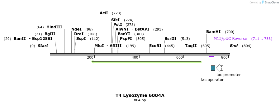24353_map