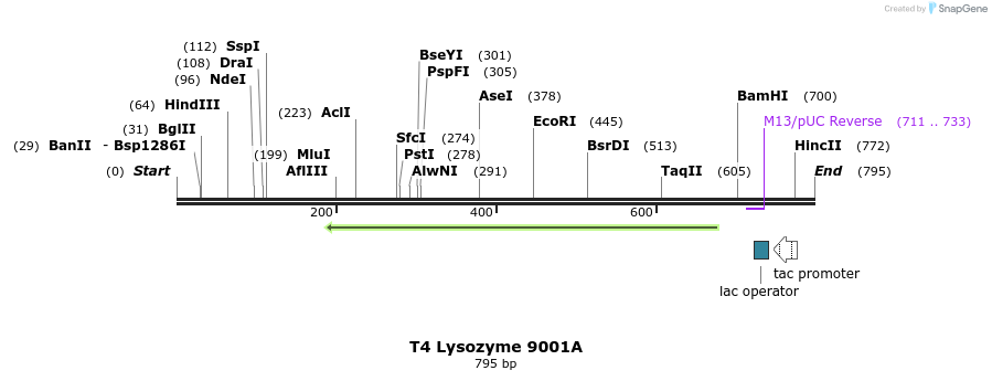 24354_map