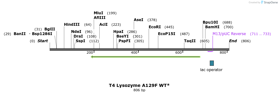 24355_map