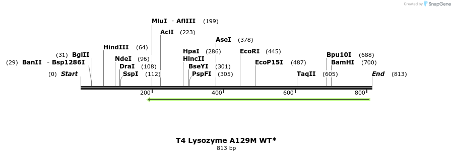 24357_map