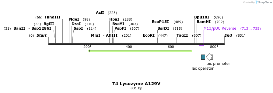 24359_map