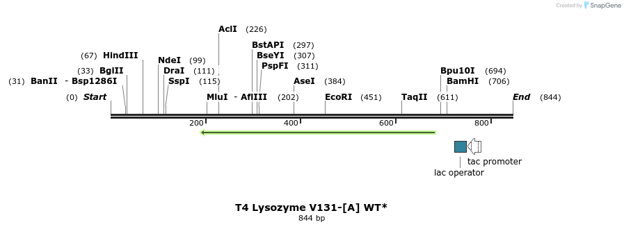 24362_map