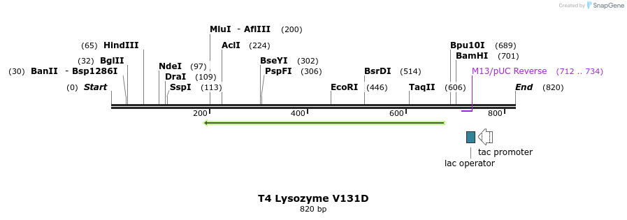 24363_map