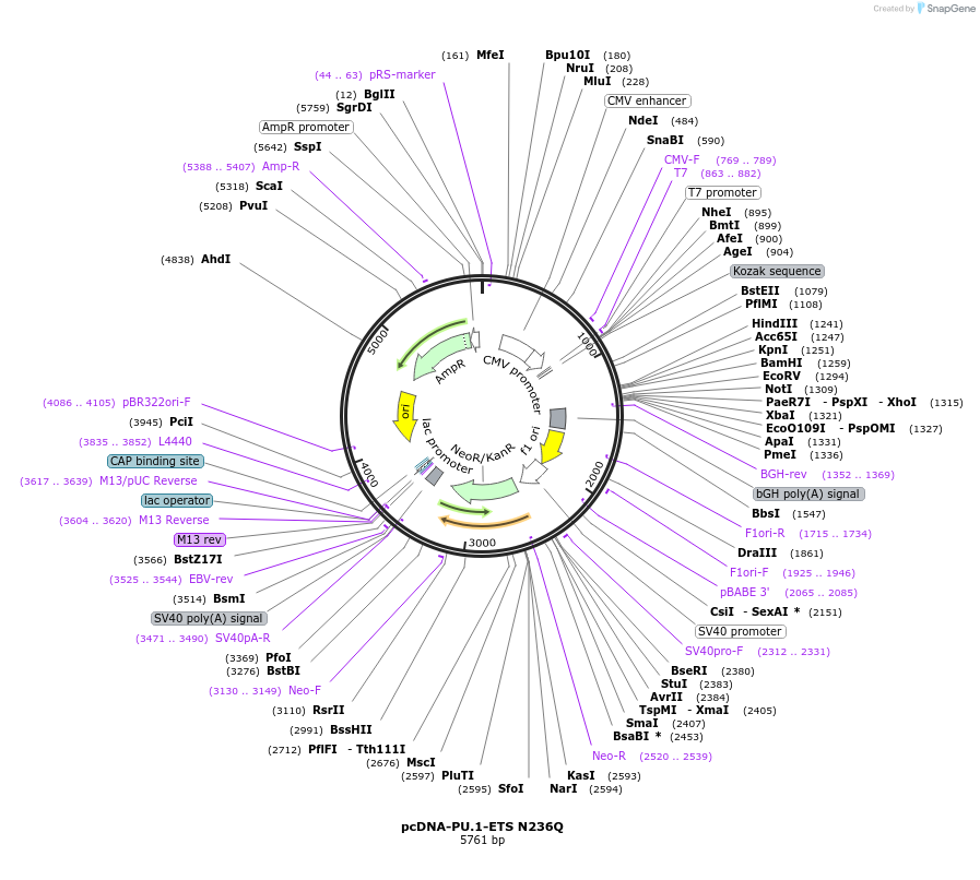 243634_map
