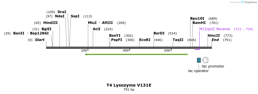 24364_map
