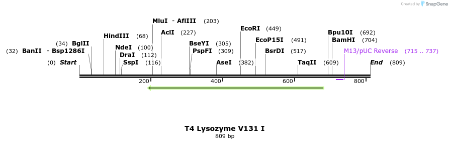 24366_map