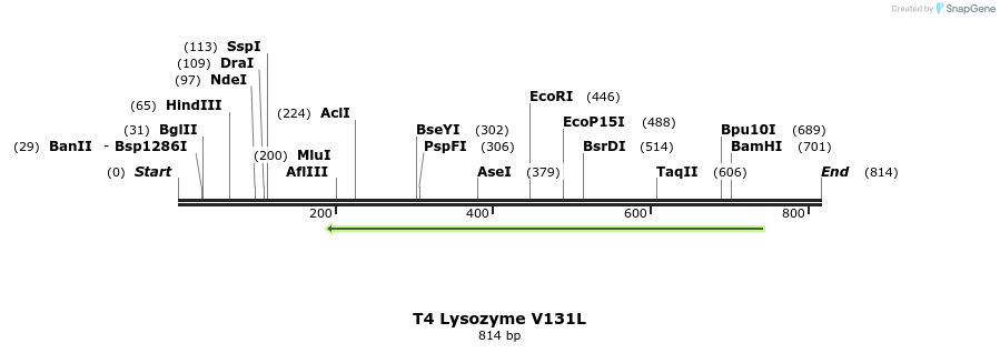 24367_map
