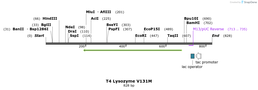 24368_map