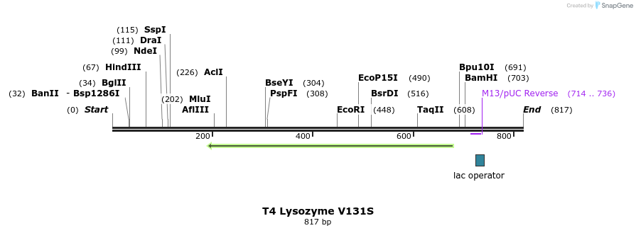 24369_map