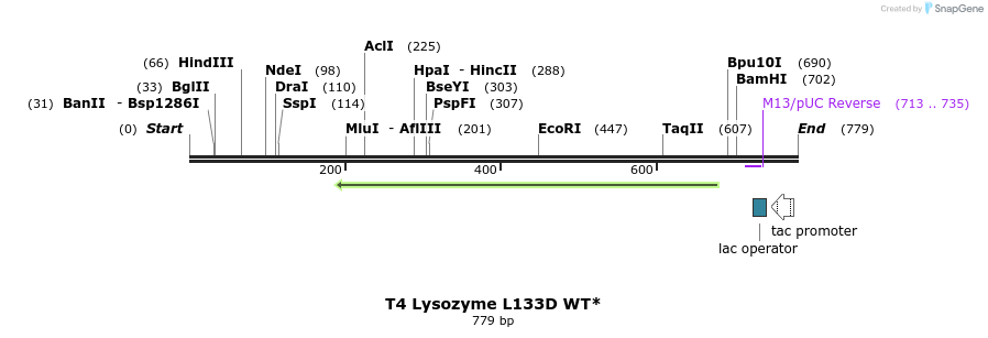 24374_map