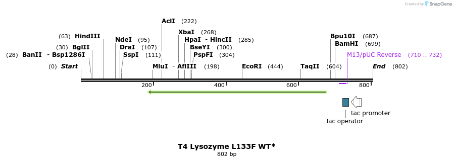 24375_map