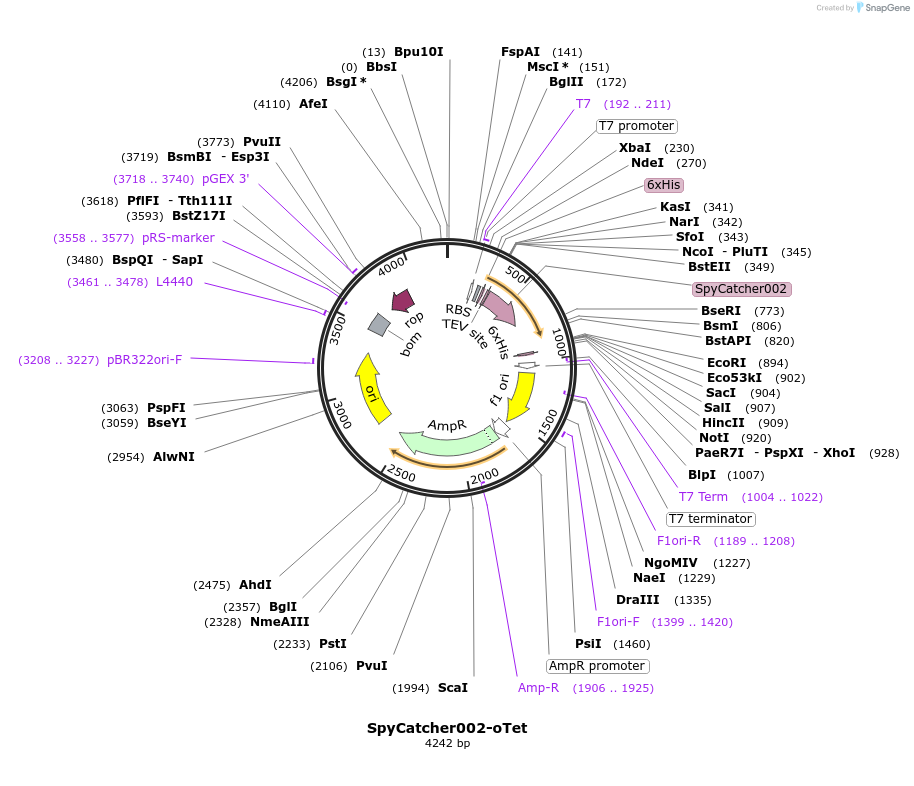 243766_map