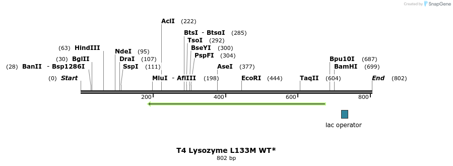 24377_map