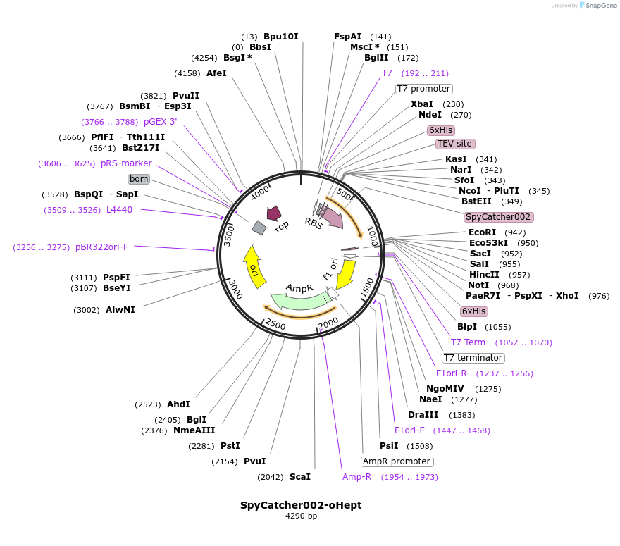 243774_map