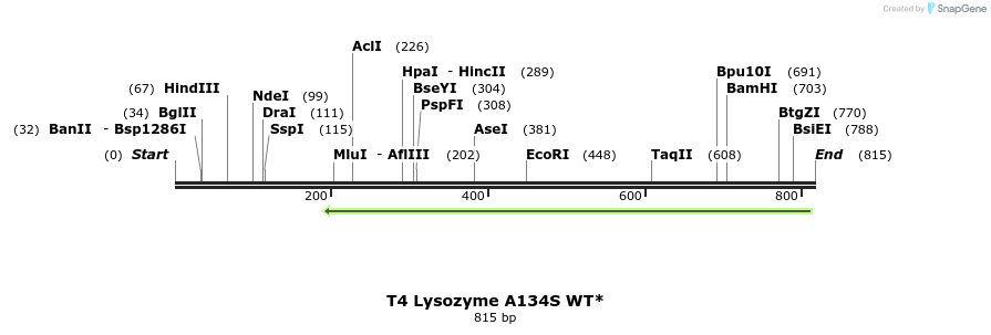 24378_map