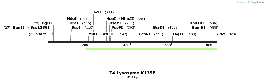 24379_map
