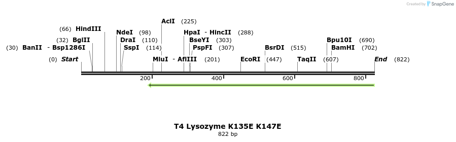 24380_map