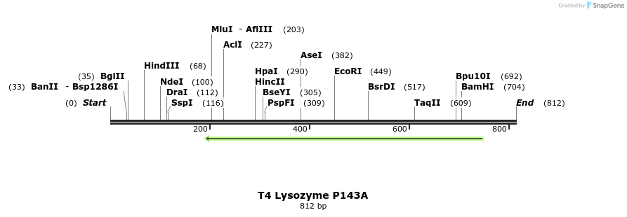 24382_map