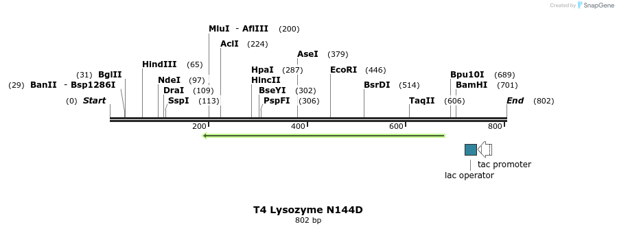 24384_map