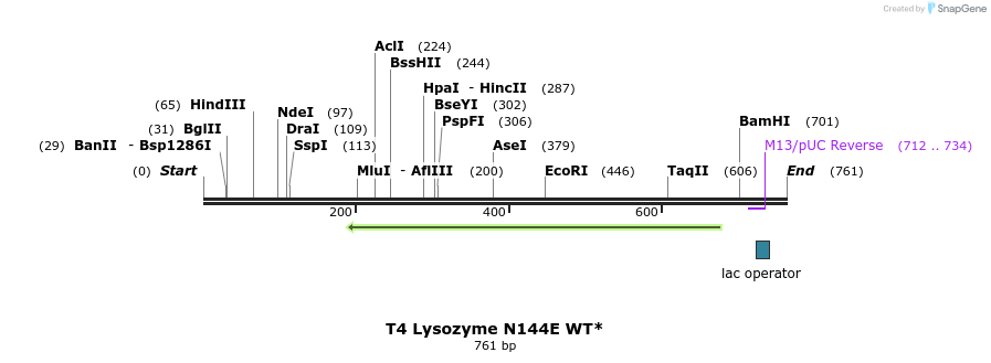 24386_map