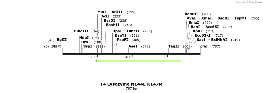 24387_map