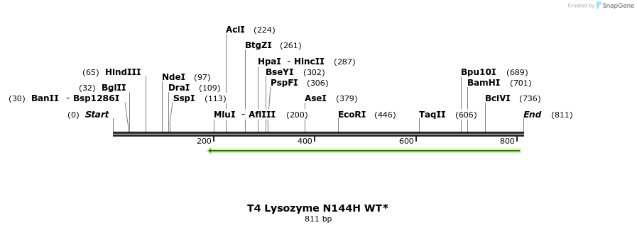 24388_map