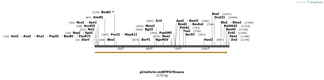 243899_map