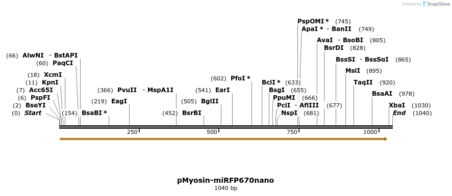243900_map