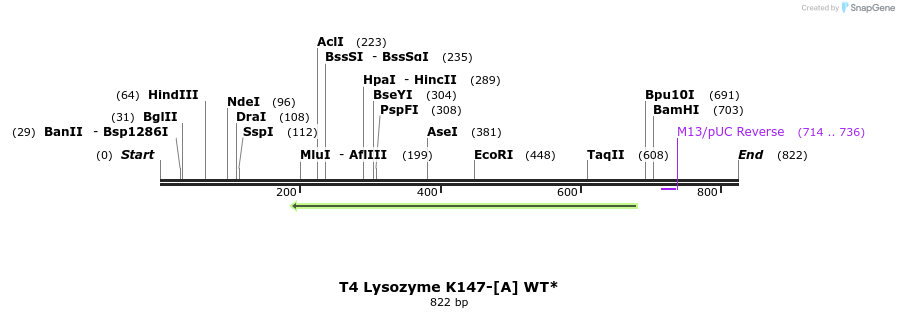 24391_map