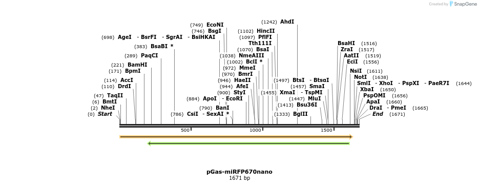 243910_map