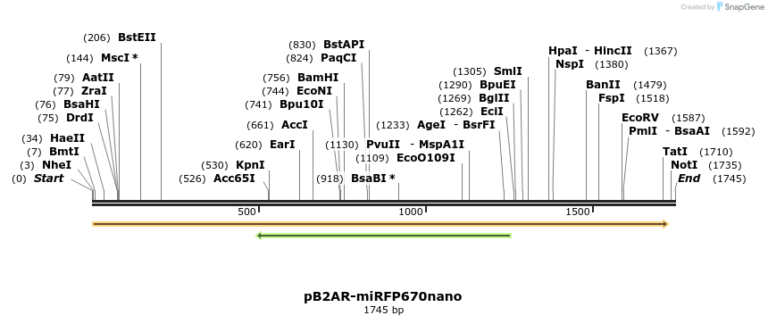 243911_map