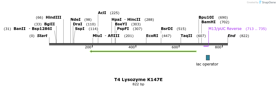 24392_map