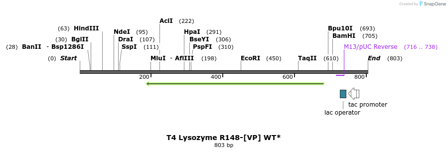 24399_map