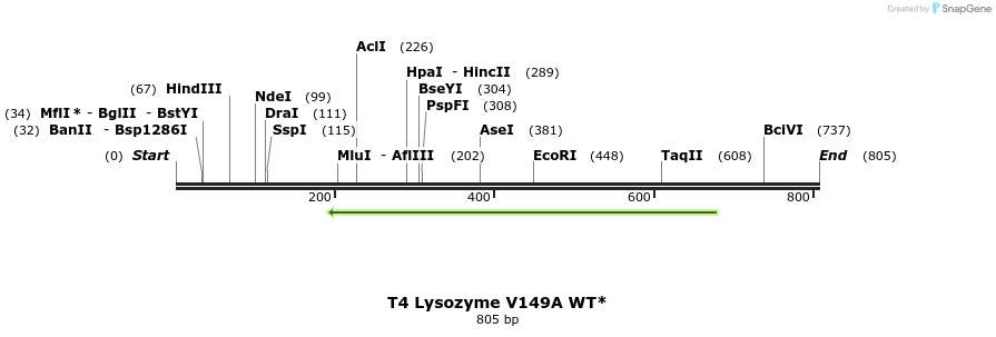 24400_map