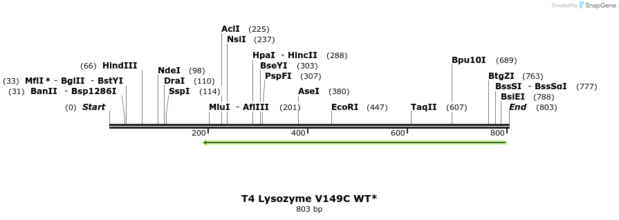 24401_map