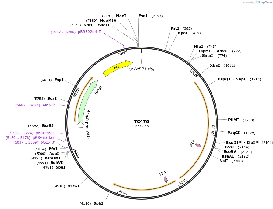 244011_map