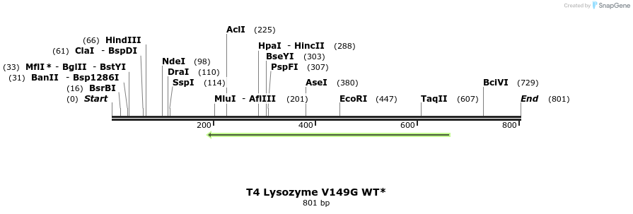 24402_map