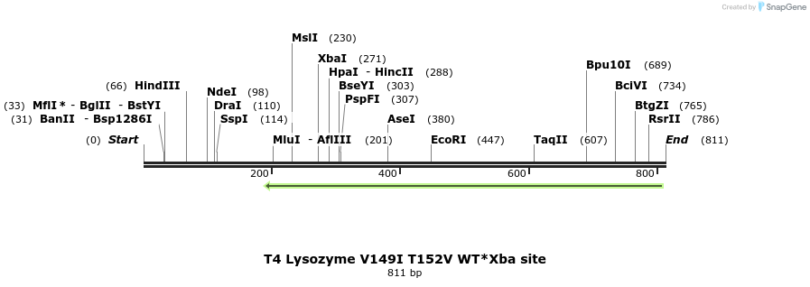 24404_map