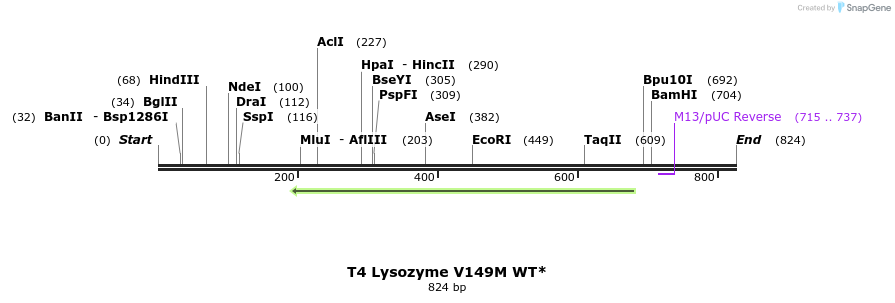 24405_map