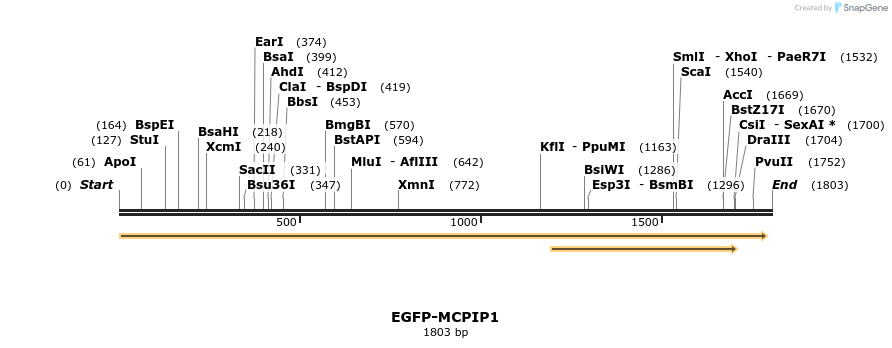 244052_map