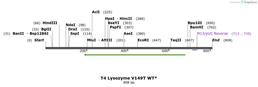 24407_map
