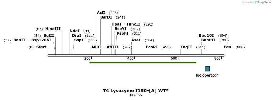 24408_map