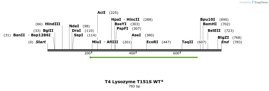 24409_map