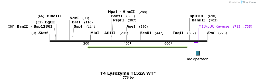 24410_map