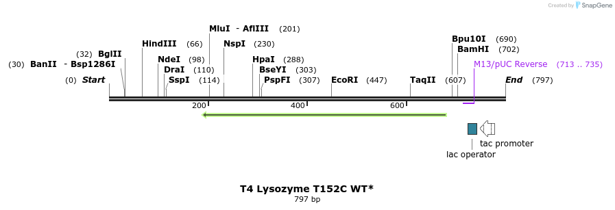 24411_map