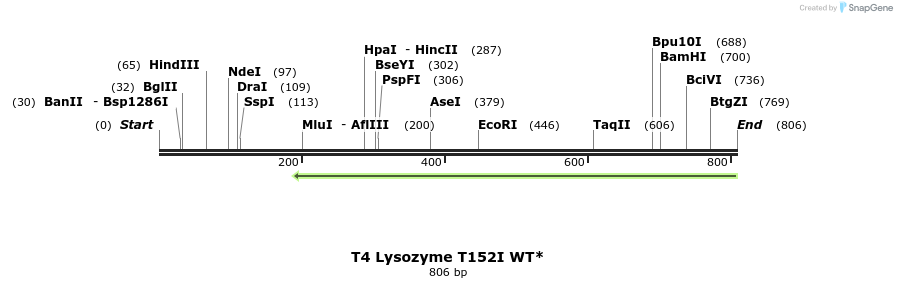 24412_map
